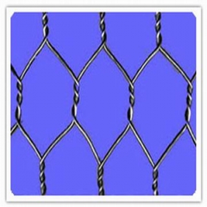 六角網(wǎng)、擰花網(wǎng)