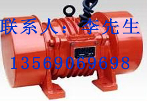 振動(dòng)電機(jī)
