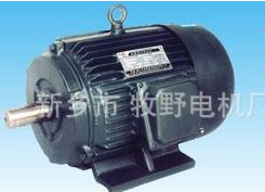 YD變極多速三相異步電動機(jī)