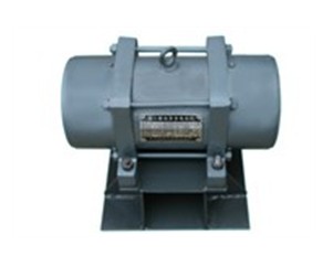 振動電機(jī)、防閉塞裝置