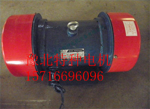 ZG振動(dòng)電機(jī)（慣性振動(dòng)器）