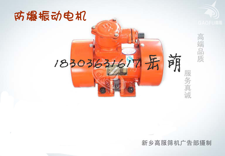 防爆振動電機，高服震動電機，新鄉(xiāng)振動電機廠家