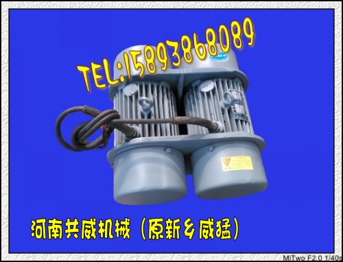 現(xiàn)貨WHZY、WLZD雙胞胎振動電機(jī)