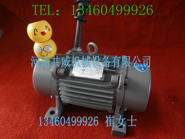 大量生產(chǎn)YZO-1.5-2振動電機技術先進大量批發(fā)