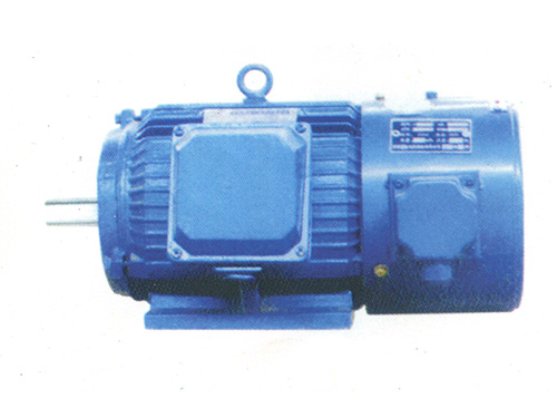 YVP系列變頻調速異步電動機