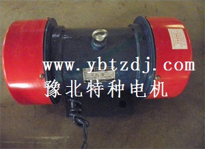 供應(yīng)YZS振動電機(jī)