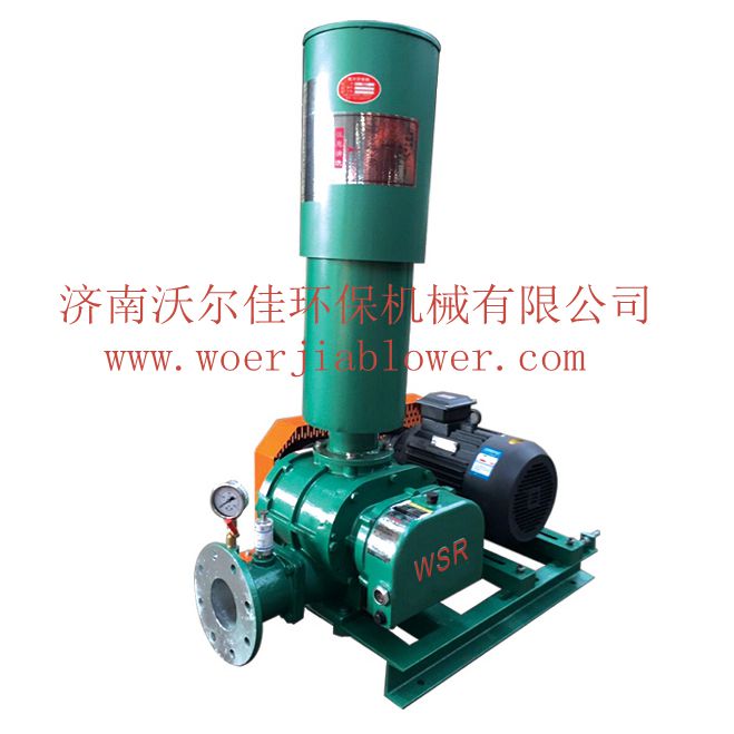 羅茨風(fēng)機(jī) ,SR65羅茨鼓風(fēng)機(jī) 噪音小 風(fēng)量大 間隙小 溫度低 真耐用。