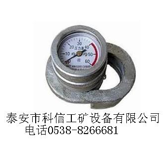 DZ-CL-2型單體液壓支柱測力計(jì)