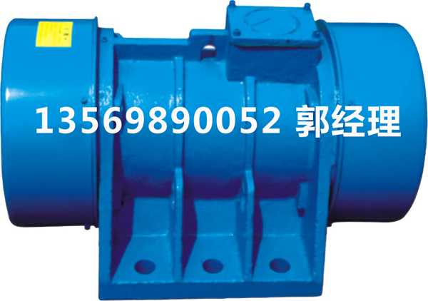 TZD振動電機(jī)