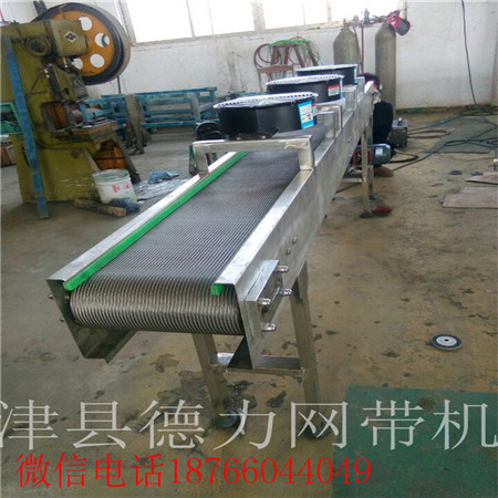 螺旋網(wǎng)帶 食品網(wǎng)帶 網(wǎng)帶輸送機傳送帶 網(wǎng)帶輸送機鏈板