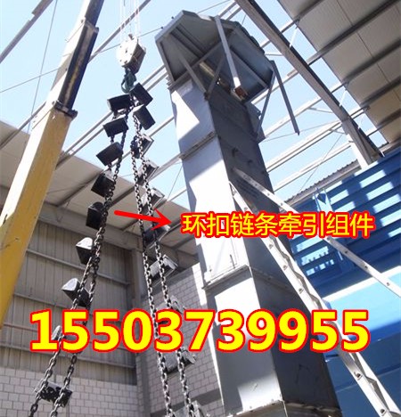 高溫鑄造砂提升機(jī)TH型鏈條斗提機(jī)垂直鏈條提升機(jī) 