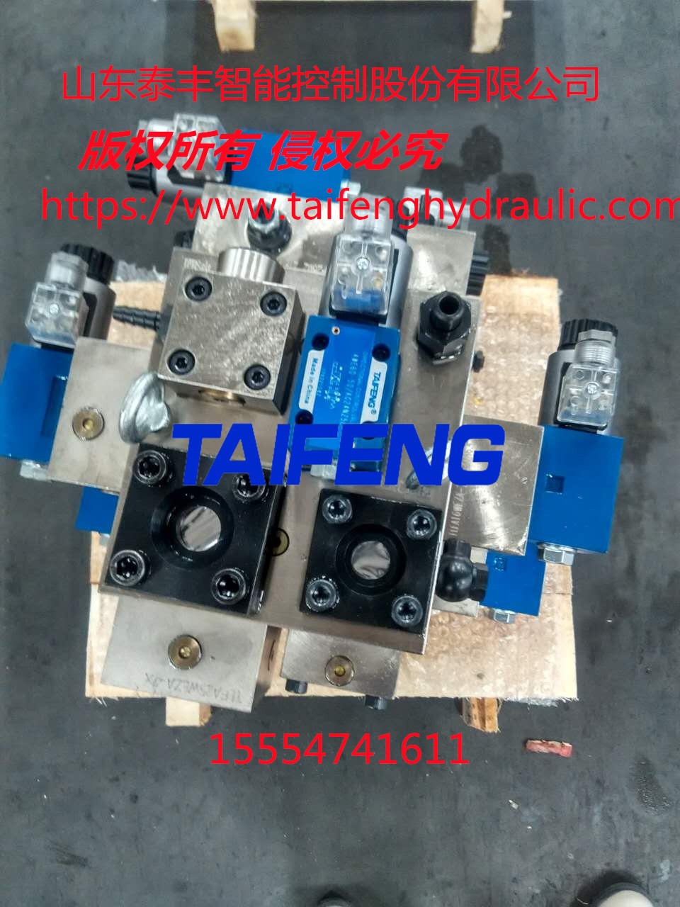 泰豐正品液壓閥 配套于5000核電站封頭壓制專(zhuān)用液壓機(jī)閥組