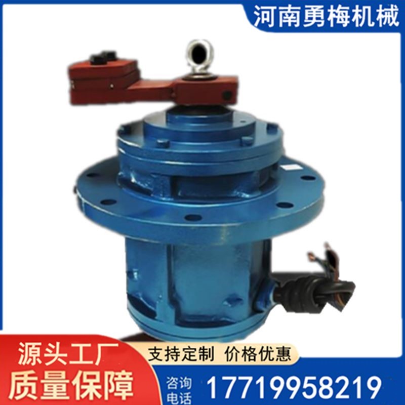 超聲波旋振動(dòng)篩立式振動(dòng)電機(jī) 粉塵防爆立式電機(jī)