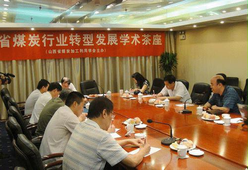 山西省煤炭加工利用學(xué)會(huì)