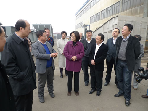 鞍山市代市長吳忠瓊一行考察鞍山重型礦山機(jī)器股份有限公司
