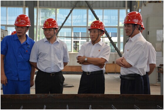 湖北省國(guó)資委主任文振富一行至湖北鑫鷹環(huán)保科技考察