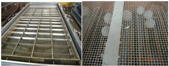 1447294344596497 (2).jpg