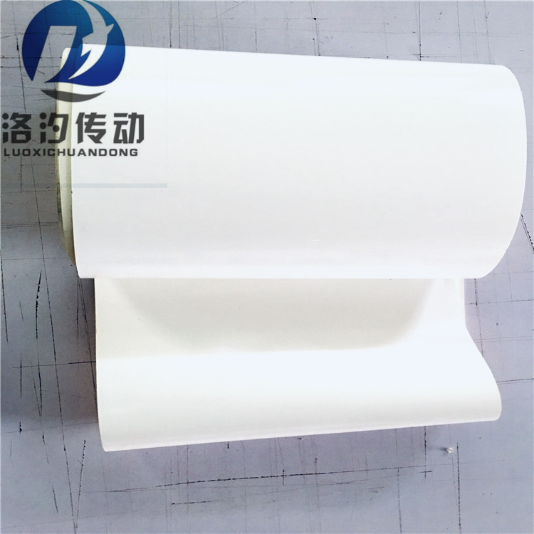 白色輸送帶 (21).jpg