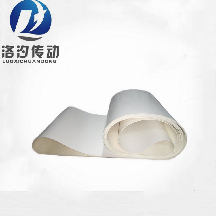 白色輸送帶 (17).jpg