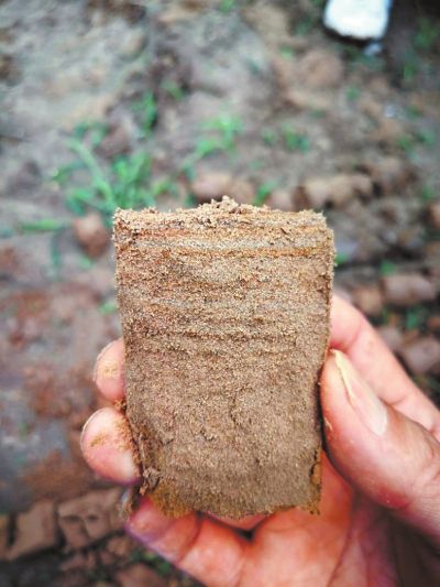 圖為古滎鎮(zhèn)&mdash;花園口鎮(zhèn)埋深8米的第四系沖積砂礦床巖芯，其成分以石英、長(zhǎng)石為主，性質(zhì)較穩(wěn)定