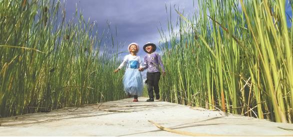 村里的孩子最愛在這片蘆葦中玩耍